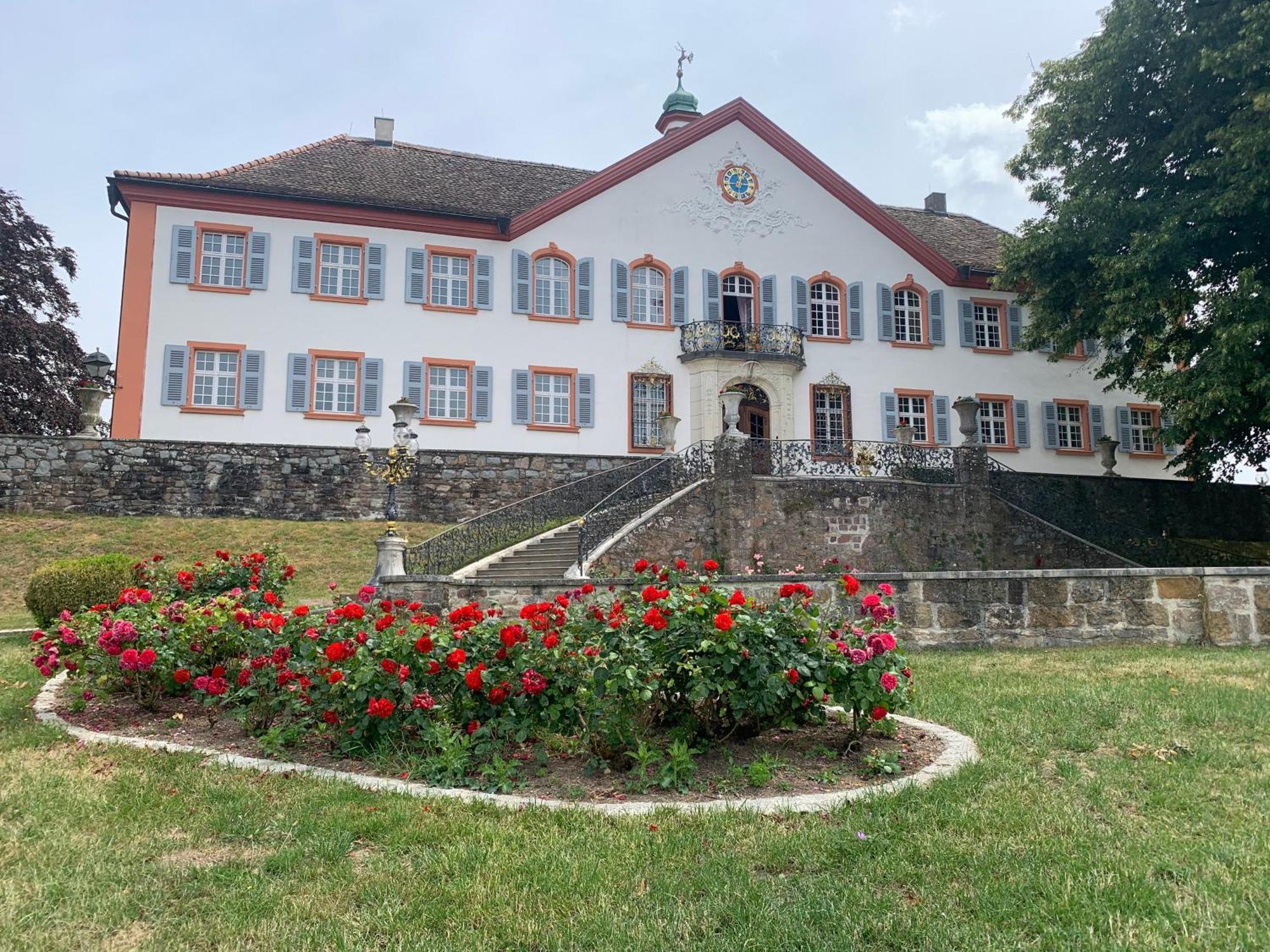 Ferienwohnung Haffner Kandern Extérieur photo